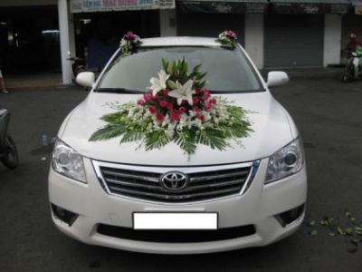 Cho thuê xe TOYOTA VIOS 